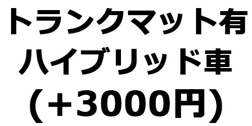 ハイブリッドトランクマット有