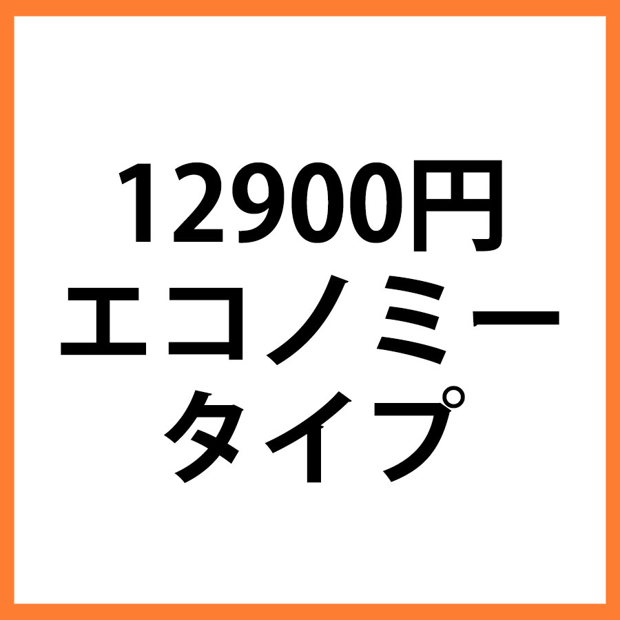 12900円商品 エコノミー