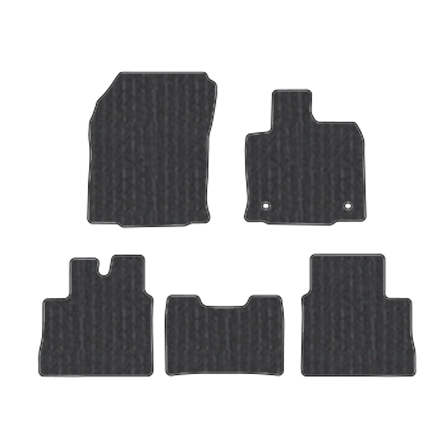 フロアマット　トヨタ  TOYOTA　ＲＡＶ４　60系　R7/12～　カーマット　抗菌　抗ウイルス　消臭　エコノミータイプ