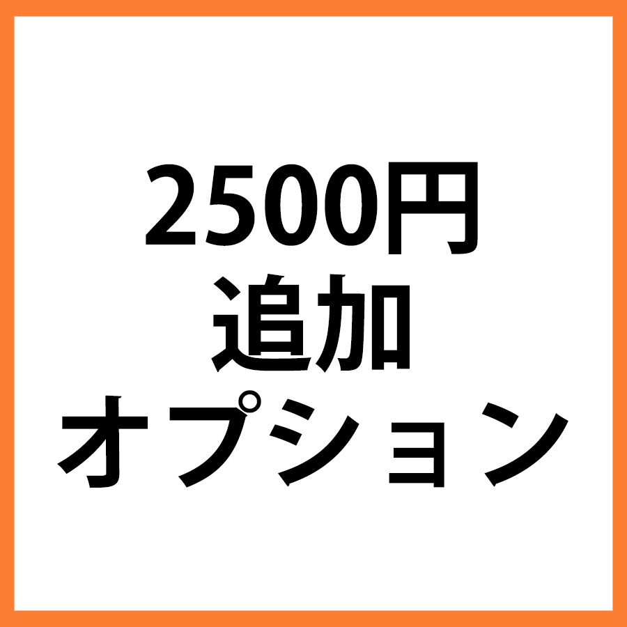 2500円追加オプション