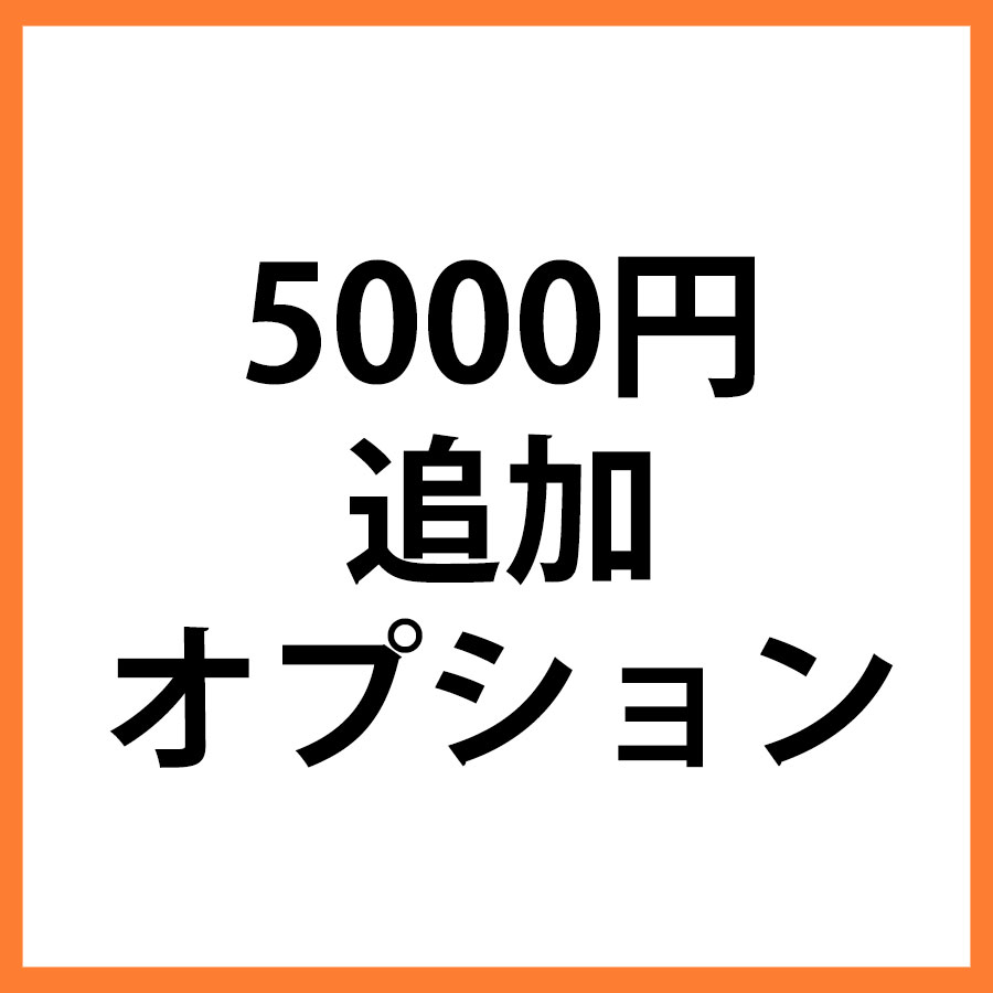 5000円追加オプション