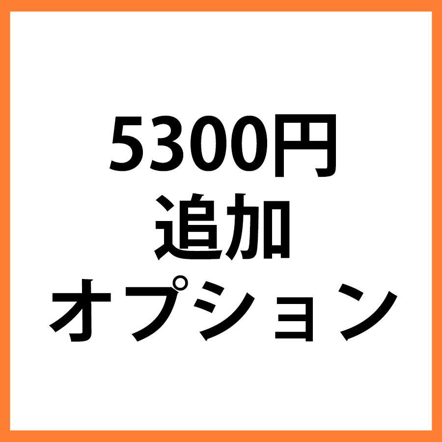 5300円追加オプション