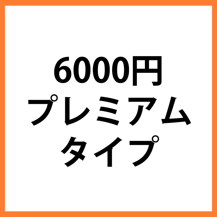 6000円商品　プレミアム