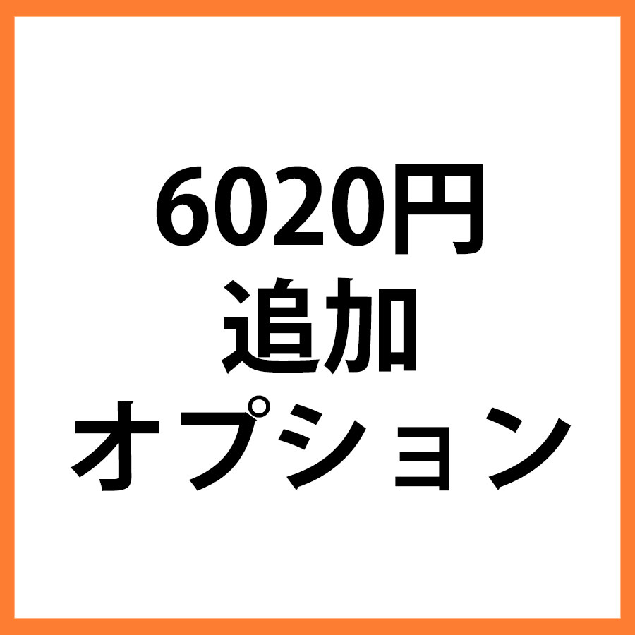 6020円追加オプション