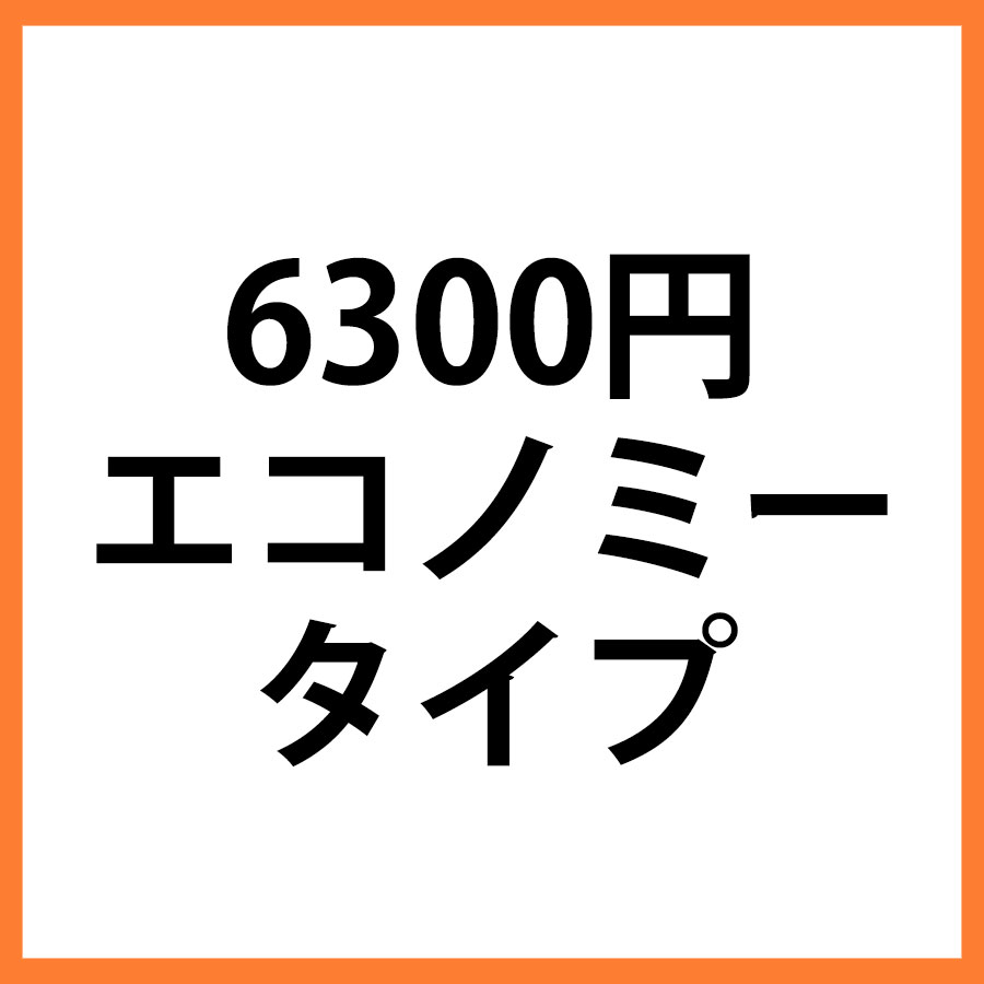 6300円商品　エコノミー
